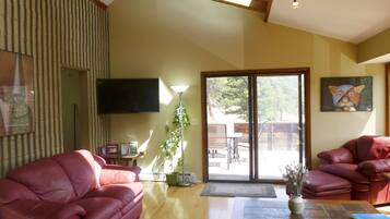 LCD TV, fireplace, DVD player, books