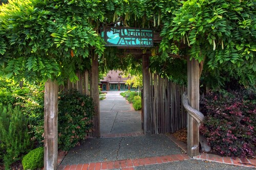 Uptown in Downtown Mill Valley!  The only 3bd/2ba in the heart of the city!