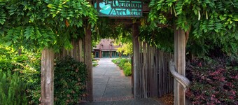 Uptown in Downtown Mill Valley!  The only 3bd/2ba in the heart of the city!