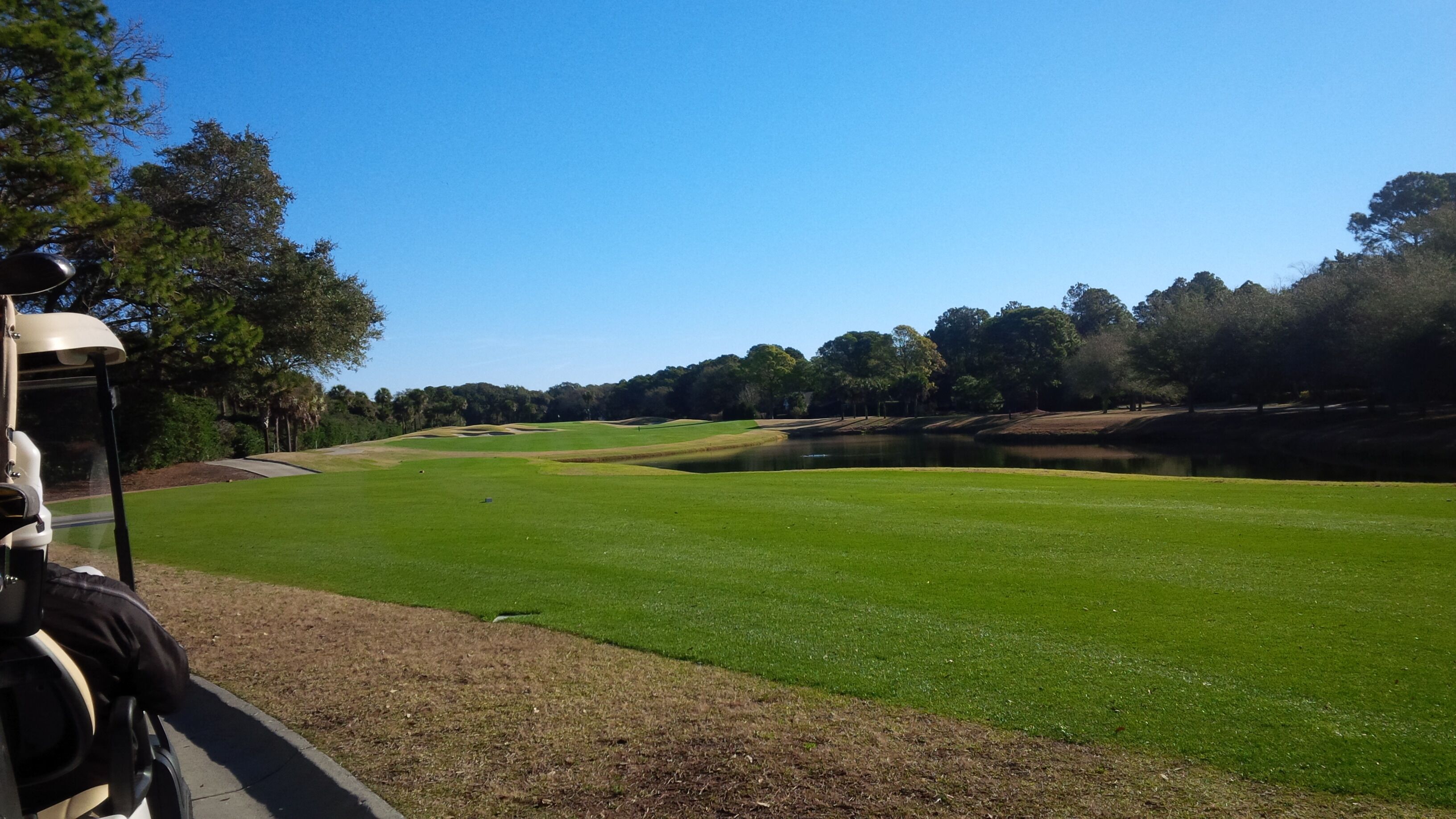 A golf course with a clear sky, a pond, and a golf cart.