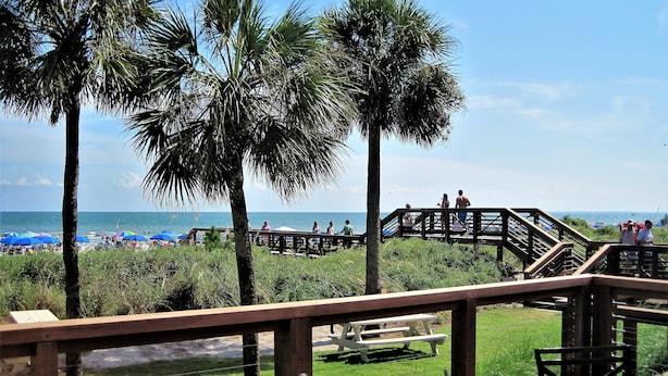 A wooden deck with picnic tables overlooking a beach with palm trees and umbrellas. - SEA PINES HARBOUR TOWN, NO STAIRS, 175 REVIEWS, IMMACULATE, PRIVATE, AND QUIET! (Sea Pines)