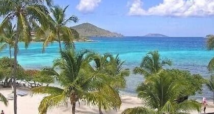 Sapphire Beachfront Condo - Amazing Snorkeling - Free Wi - Fi