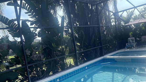 Una piscina con agua azul cristalina, rodeada por una cerca metálica y exuberante follaje tropical.