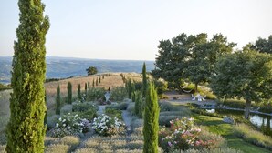 A well-maintained garden with various plants and a clear view of the landscape.