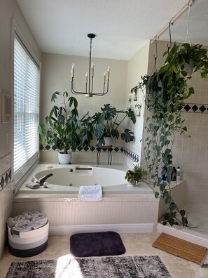 Combined shower/bathtub, jetted bath, hair dryer, bidet