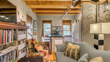 Smart TV, DVD player, books, video library