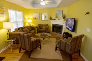 Télévision, cheminée, lecteur de DVD