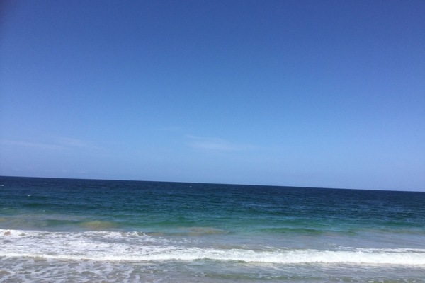 THE OCEAN IS ONLY 50 YARDS FROM PARADISE FOUND