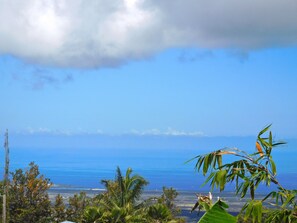 A coastal landscape with a view of the sea, palm trees, and a distant shoreline. - Ocean View, Full Kitchen, Gorgeous Top Floor Suite surrounded by Tropical Garden (Kailua-Kona)