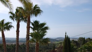 A swimming pool with palm trees and a view of distant hills. - Modern Seaview Villa With Infinity-Pool (Palamos)