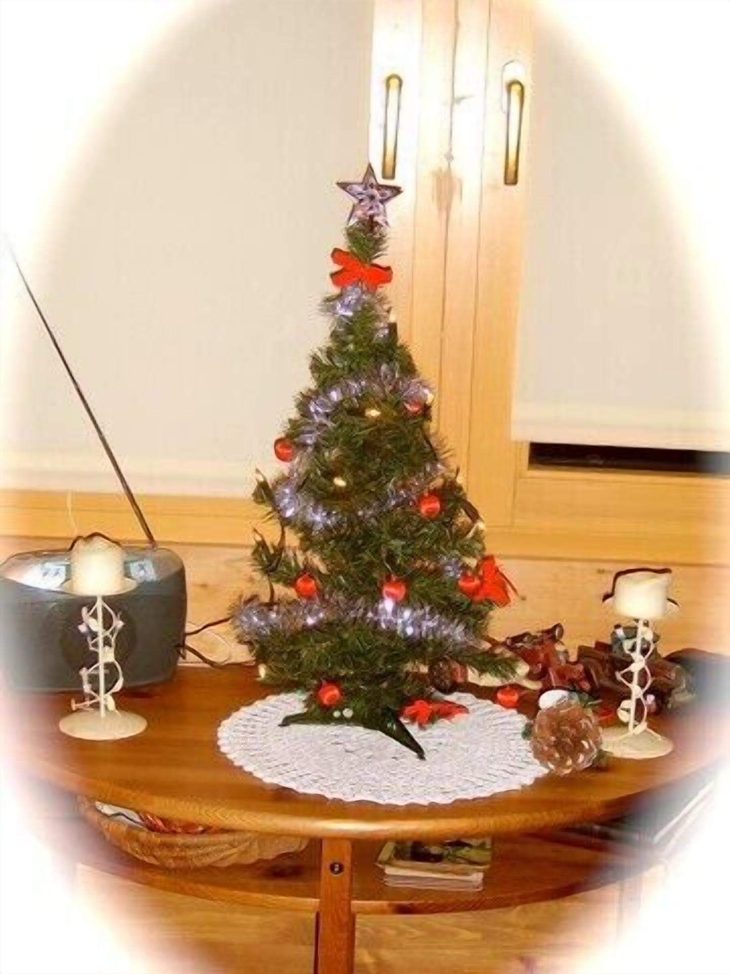We decorate the cabin for Christmas!