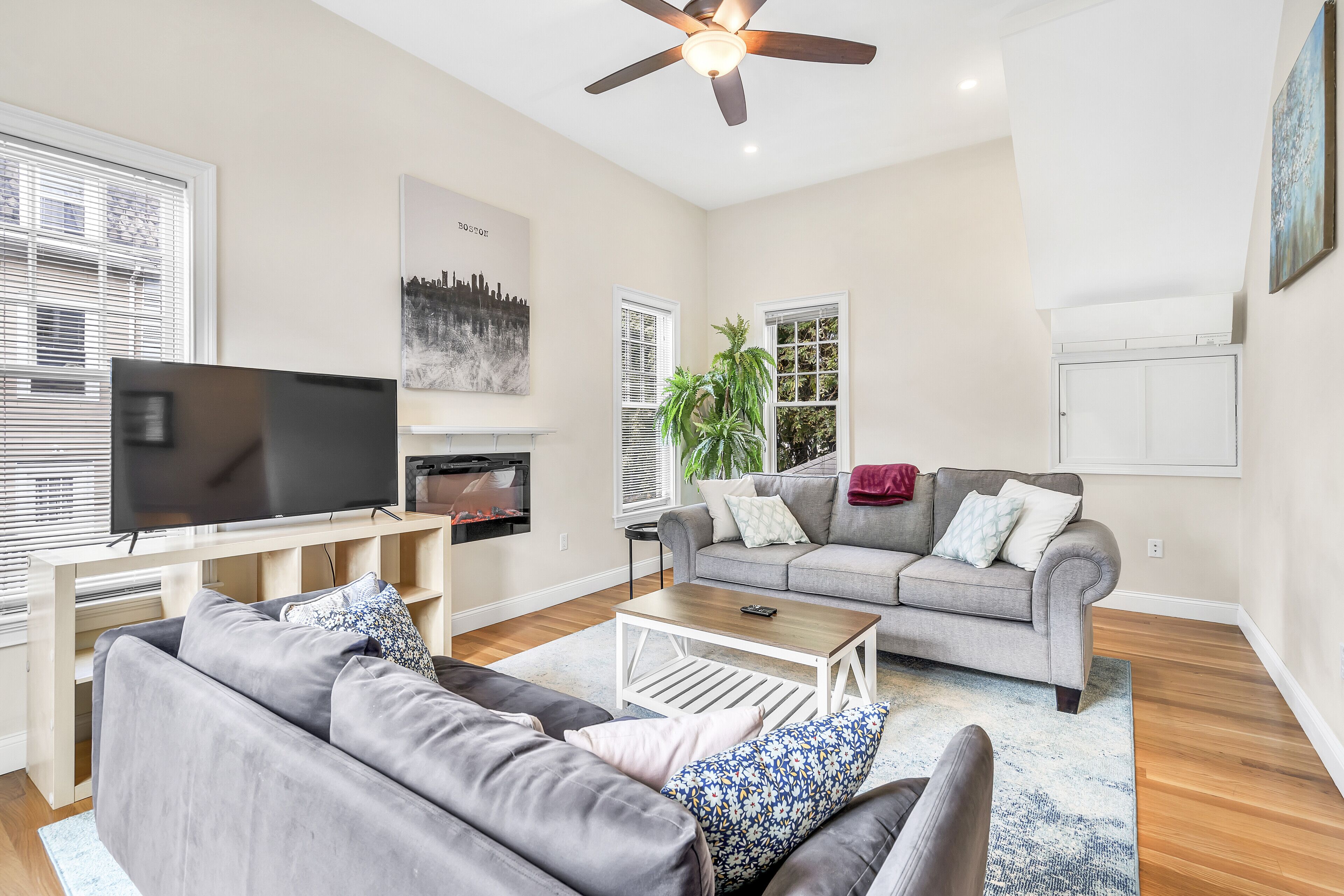 Smart TV, fireplace, books, video library