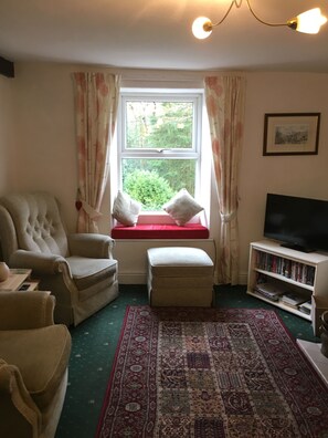 TV, fireplace, DVD player, books