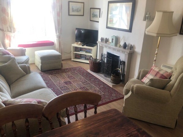 Televisión, chimenea, reproductor de DVD y libros 