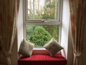 TV, fireplace, DVD player, books