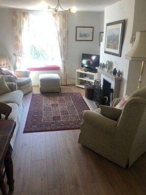 Televisión, chimenea, reproductor de DVD y libros 