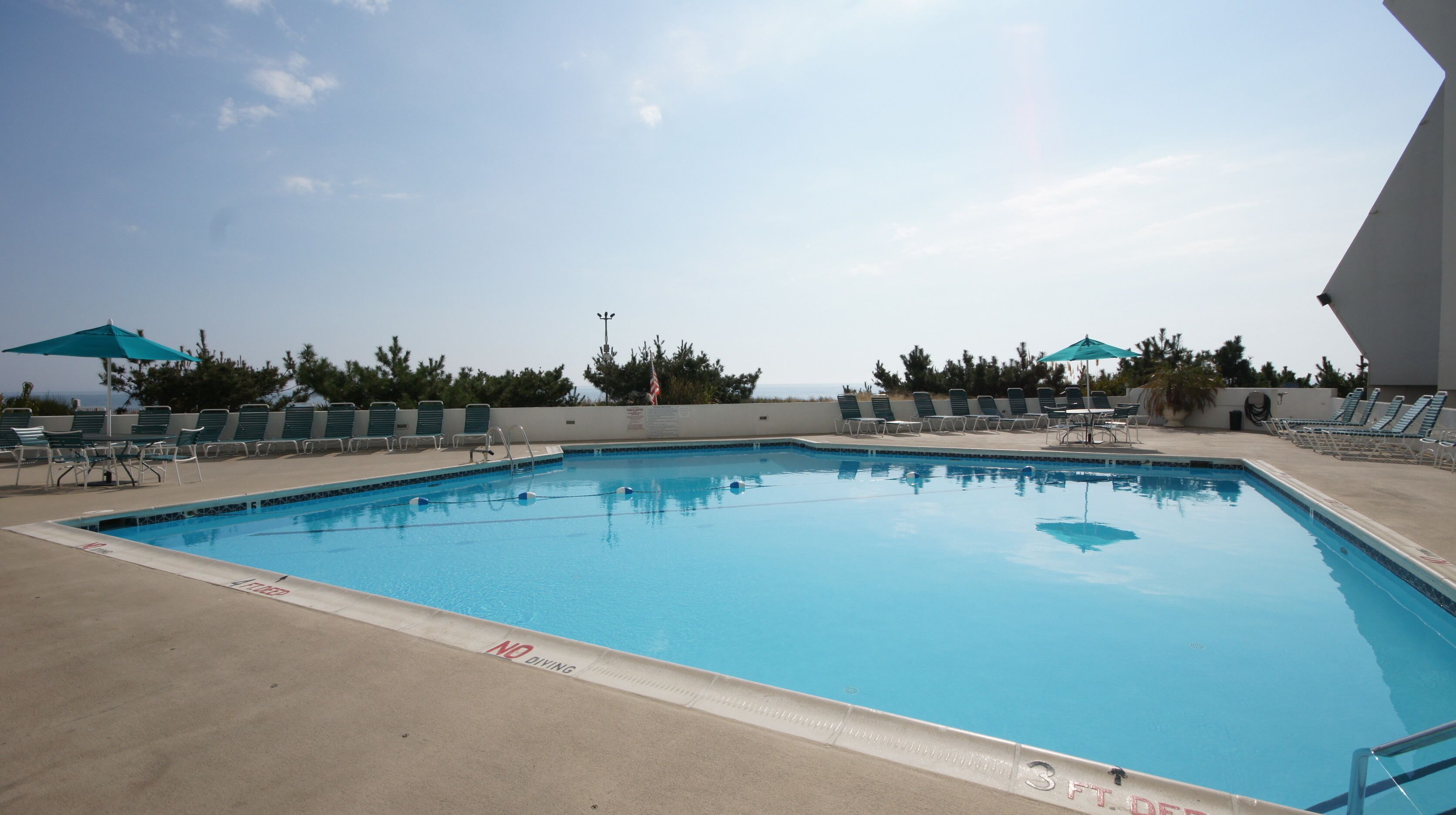 A swimming pool with lounge chairs and umbrellas, surrounded by trees and a clear sky.