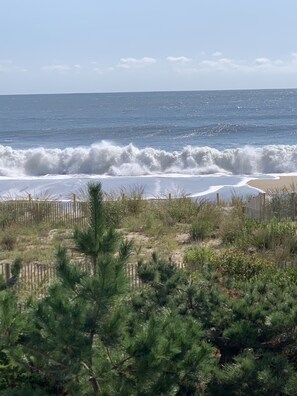A beach with waves crashing onto the shore, a wooden fence, and dense green vegetation in the foreground. - Delightful Escape, Oceanfront 2BDR , Awesome Views, Pool, Clean! (Ocean City)