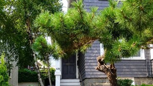A residential house with a stone facade, a black front door, and a staircase leading to the entrance. - Sunny 4 Bed/2 Bath Victorian Oasis in the City! (Boston)