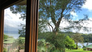 A view from a window overlooking a lush garden with a large tree, a lawn, and a body of water in the distance.