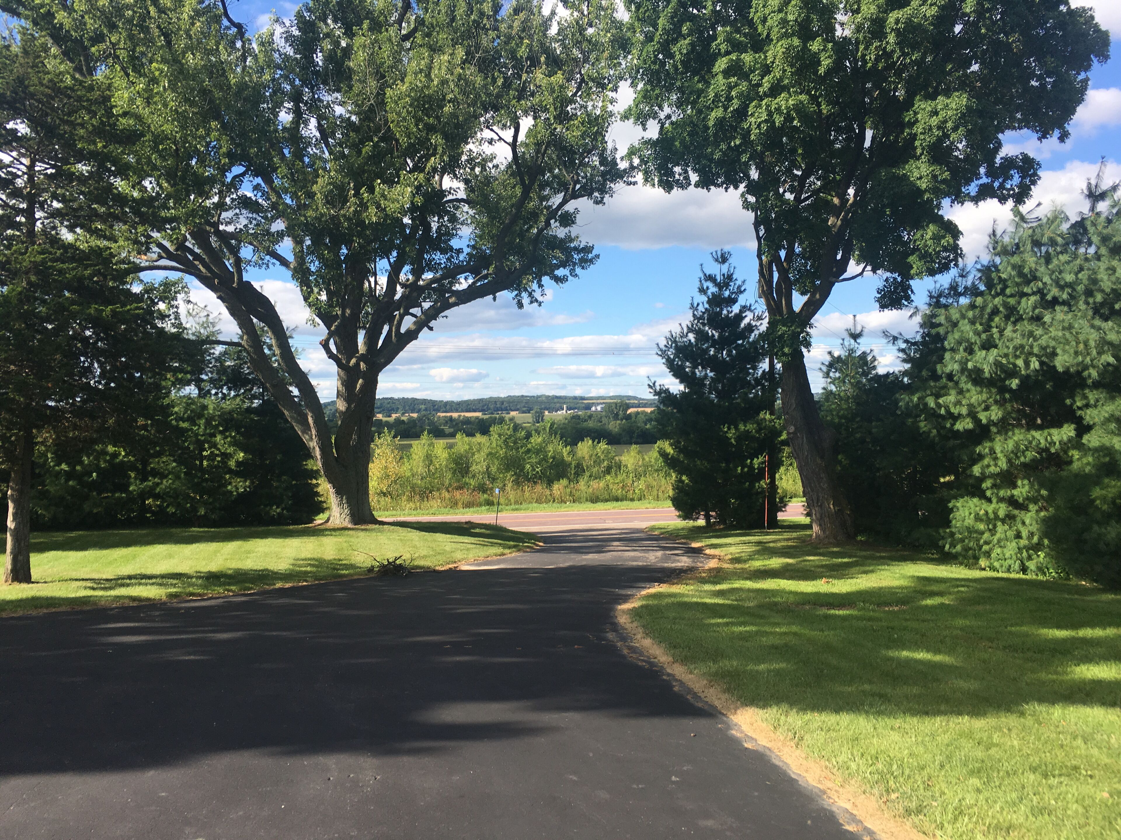 A paved road flanked by large trees and grassy areas, leading to a distant view of a landscape with fields and hills.