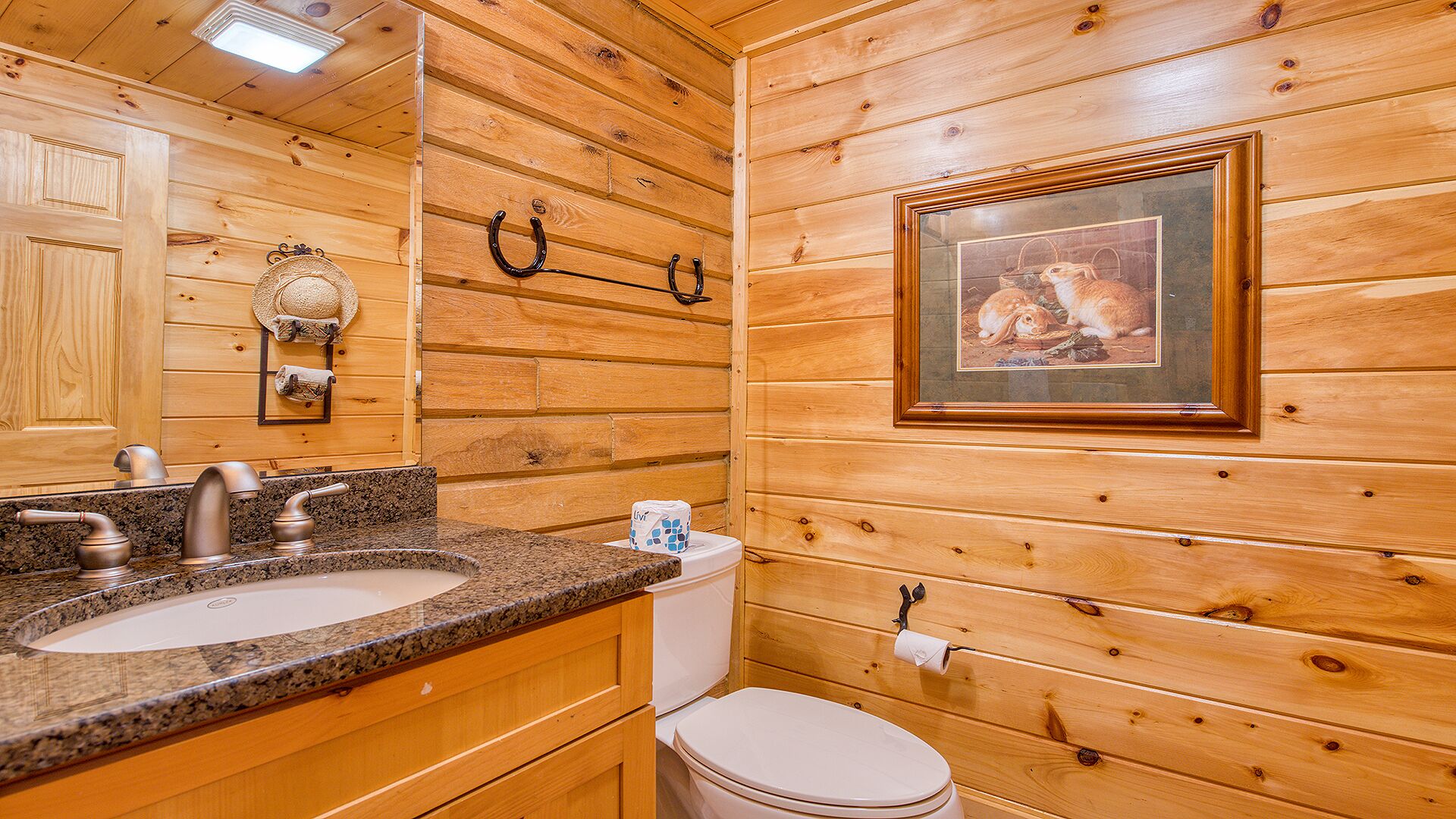 Ein Badezimmer einer Holzhütte mit einem Waschtisch aus Granit, einer Toilette und einem Bilderrahmen mit Kaninchen an der Wand.