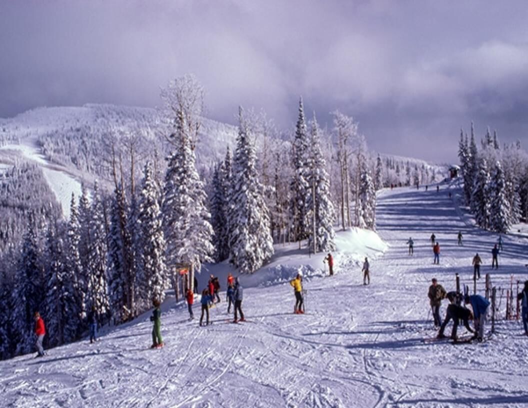Een skipiste met skiërs en snowboarders, omgeven door besneeuwde bomen en een berg op de achtergrond.
