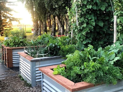 Farm Retreat | Peace, Views & Hot Tub Bliss