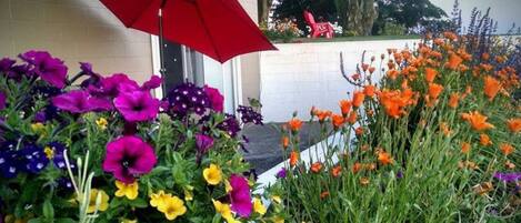 A garden with colorful flowers and a red umbrella.
