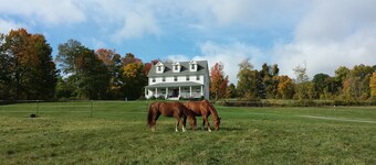 Farmhaus Getaway auf 200 Acre Horse Farm