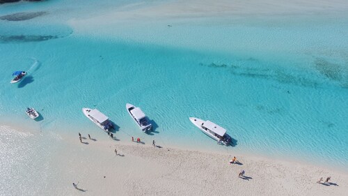 IDYLLIC BEACH STUDIO - WOW! GÉNIAL!  Hoopers Bay Beach avec des tortues vertes !! CS