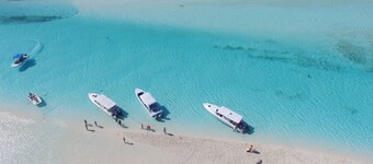 HOOPERS BAY PRIME BEACHFRONT  KING or TWIN  STUDIO  and with STARLINK fast WIFI