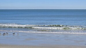 A beach with waves and birds on the shore.
