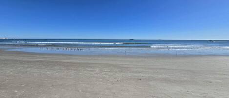 Accommodatie ligt op het strand, strandlakens