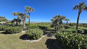 Property grounds - Oceanfront Condo | Beach Access | Rocket Launches (Cape Canaveral)
