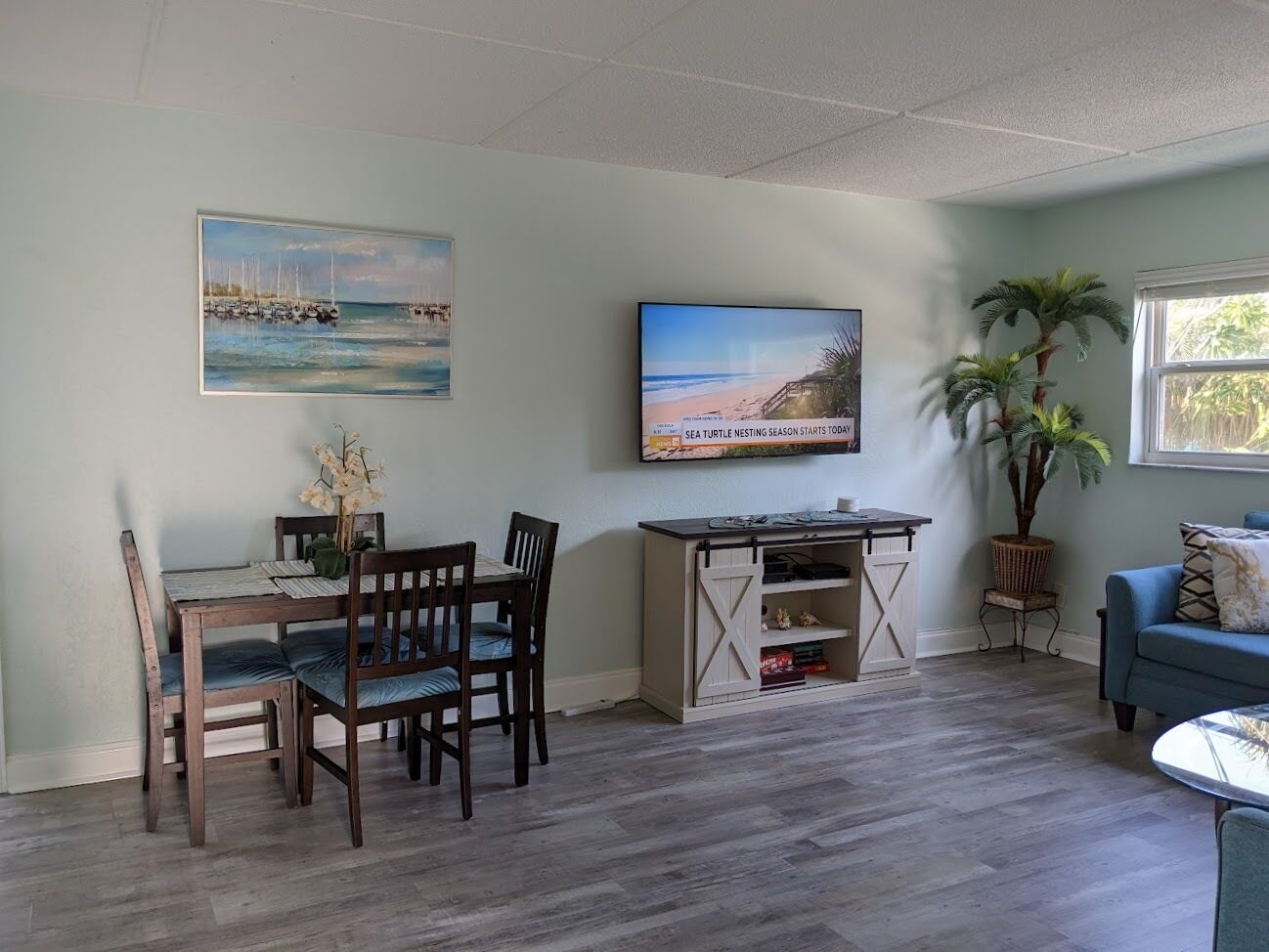 Smart TV, DVD player, video library