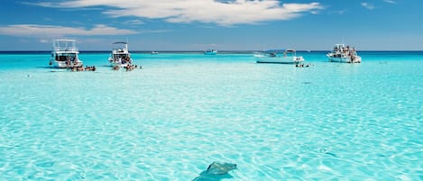Plage à proximité