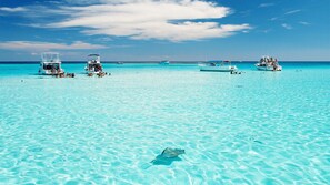 Une mer turquoise aux eaux limpides, avec des bateaux et une raie.