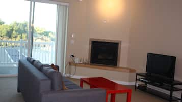 Smart TV, fireplace, DVD player, books