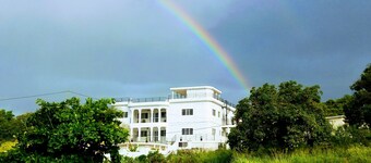 A labour of love in the south of the island