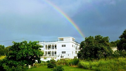 A labour of love in the south of the island