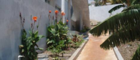 Jardines del alojamiento