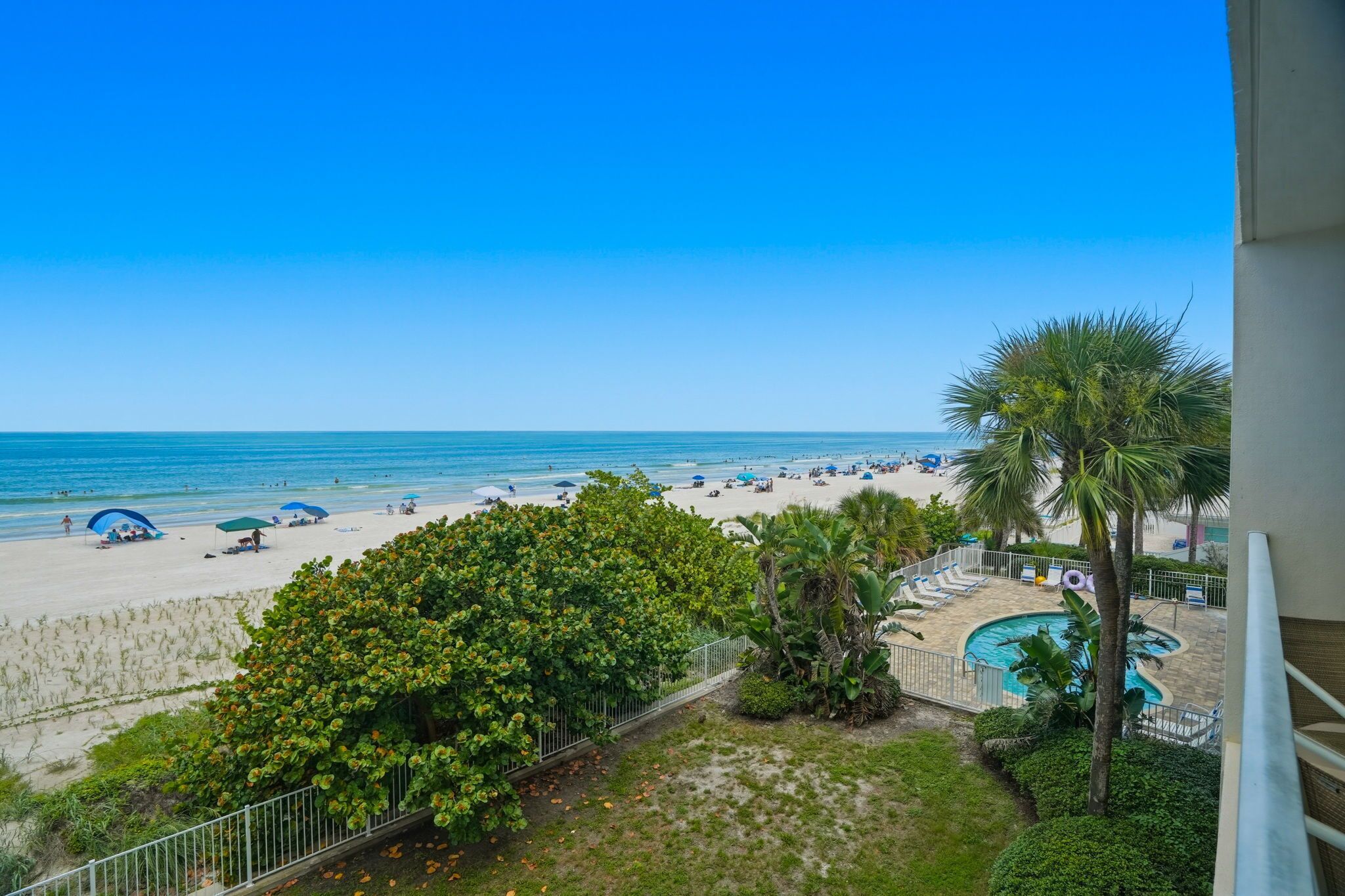 A beach view with umbrellas, a pool, and a palm tree.