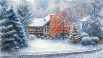 A house surrounded by snow-covered trees and a small Christmas tree.