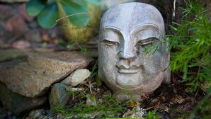 Una escultura de piedra con rostro tallado, rodeada de rocas y follaje.