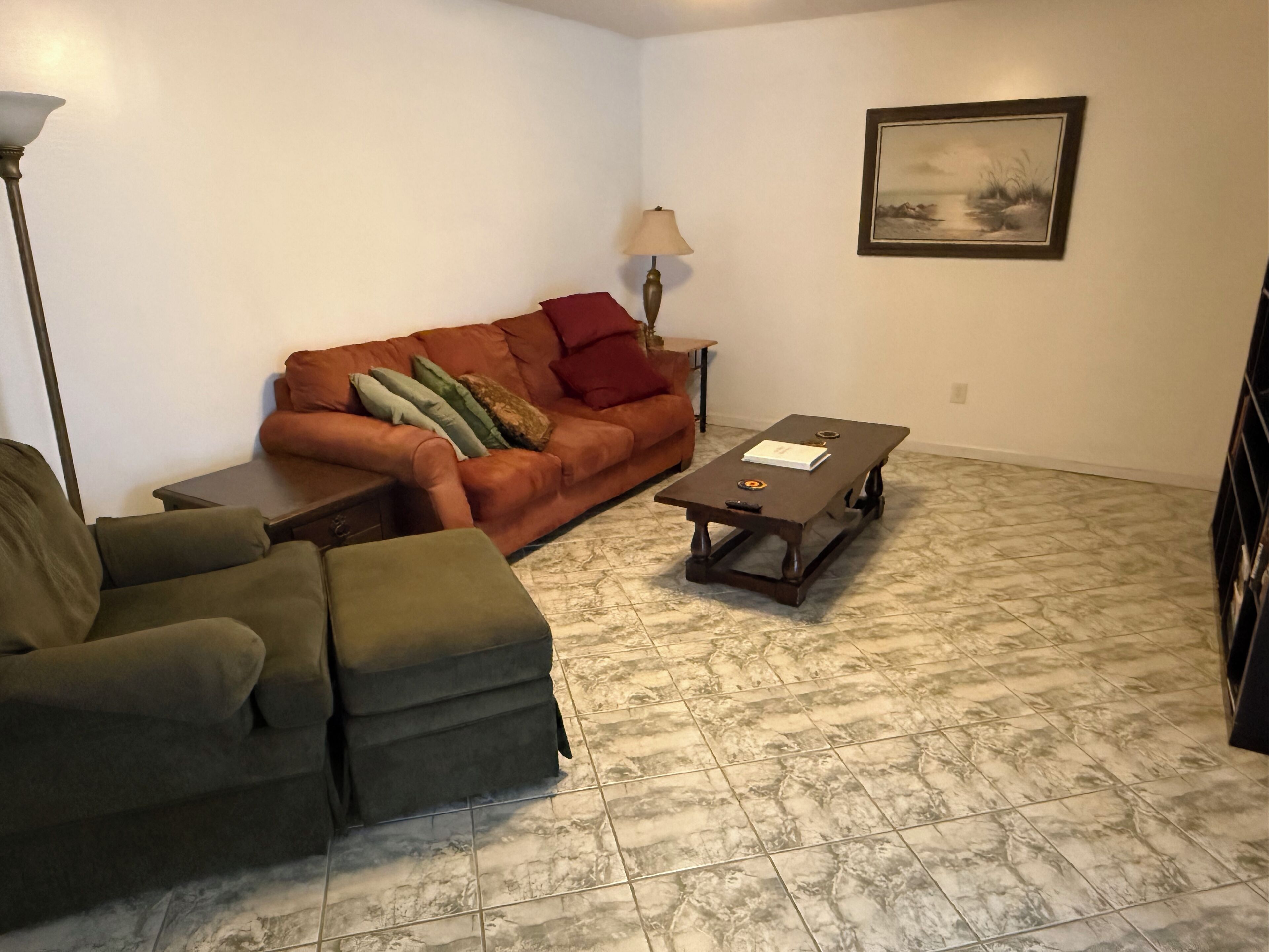 Smart TV, lareira, DVD player, livros