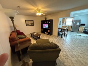 Smart TV, chimenea, reproductor de DVD y libros 