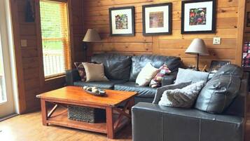 Smart TV, fireplace, DVD player, books