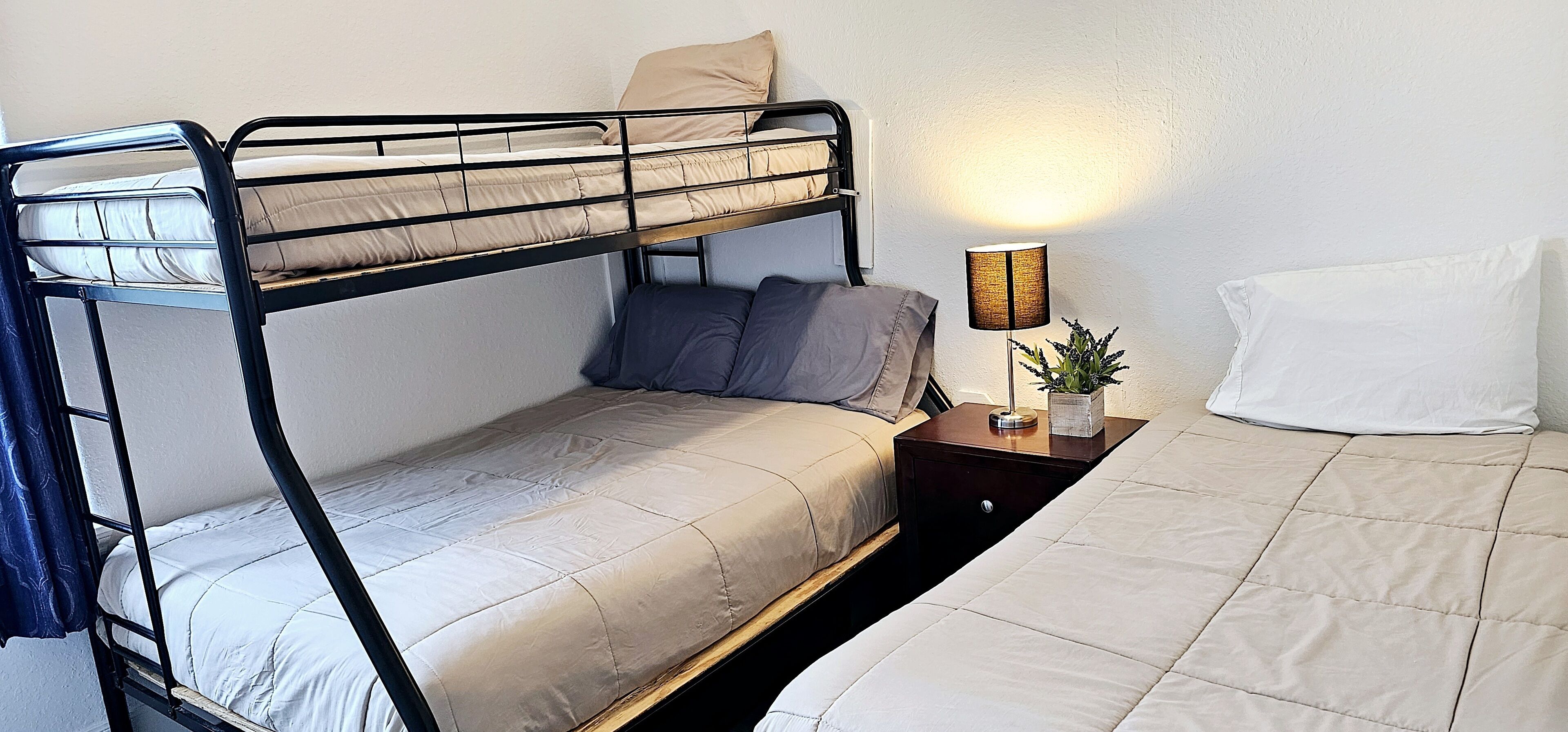 A bunk bed room with a bedside table, lamp, and a potted plant.