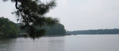 A calm lake with a dock and a tree in the foreground.